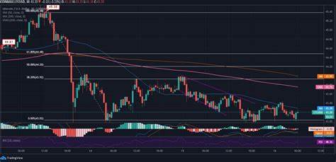 Litecoin (LTC) Price Holds Key Support Level Despite 45% Decline - CCN.com