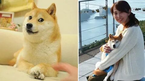 Atsuko Sato Price Prediction: DOGE And NEIRO Inspiration SATO Skyrockets 565% As This PEPE Derivative Charges Towards $14 Million - Inside Bitcoins