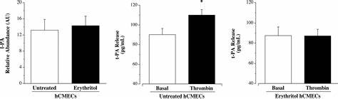 Erythritol adversely affects brain microvascular endothelial cell function