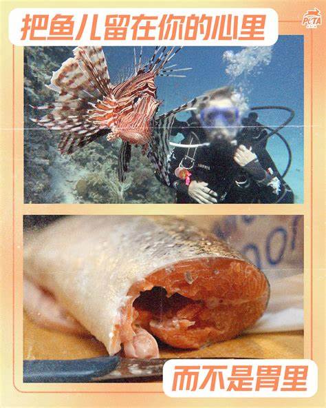 善待动物组织（PETA）是一个怎样的组织？ - 知乎