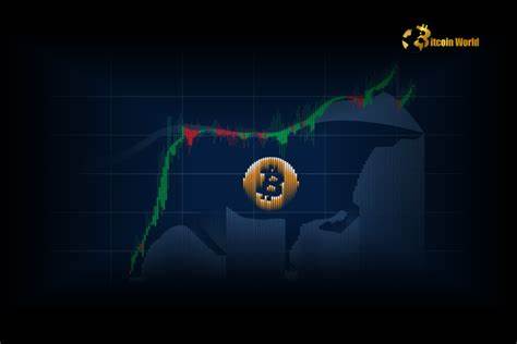 Is Bitcoin’s Bull Run Really Over? CryptoQuant CEO Sounds the Alarm