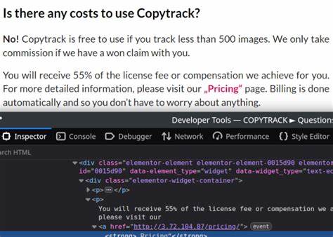 Examining a Copyright Claim from Copytrack