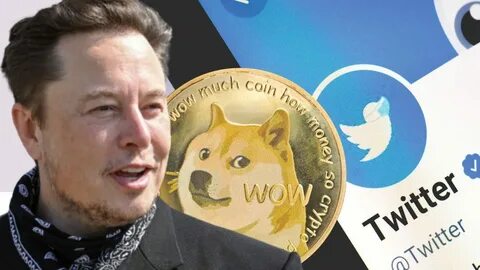 Sorry Dogecoin Fans: Elon Musk’s Twitter Payments Plan Doesn’t Include Crypto - Decrypt