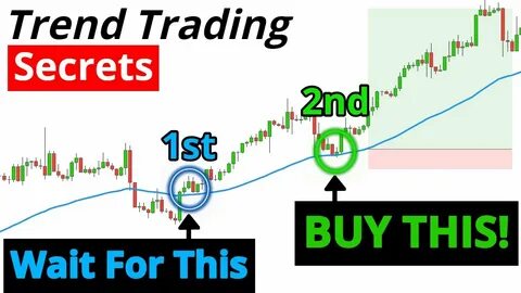 Secrets to Trading 101 Unveils In-Depth Guides on Forex and Crypto Trading - GlobeNewswire