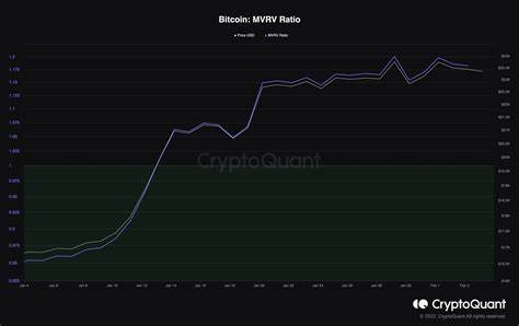 Bitcoin Price Analysis: Leverage Ratio Hits 2024-High! Will BTC Rally? - Coinpedia Fintech News