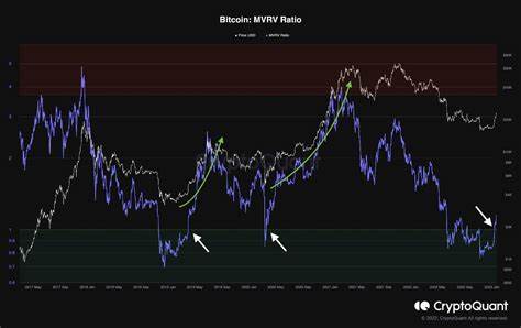 CryptoQuant Signals Late Stages of Bitcoin Bull Run, Analysts Warn of Potential Correction - Yahoo Finance