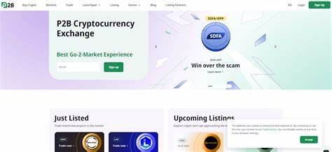 P2B Review 2024 – Fees, Features, Pros & Cons Revealed - Techopedia