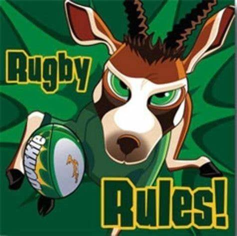 One rule for Europe's copycats, another for the Springboks - RugbyPass