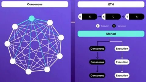 Monad Explained: A Quick Guide to the Platform in 2025