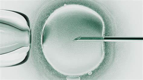 Researchers announce babies born from a trial of three-person IVF