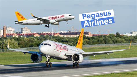 Pegasus Airlines lost my brain-computer interface – ignored 10 days