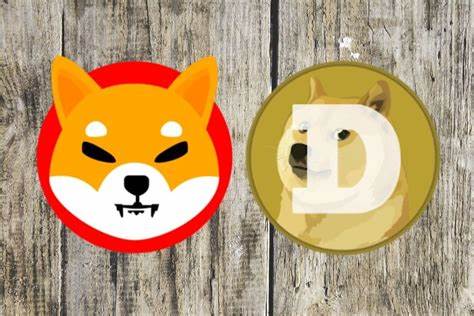 DOGEN Tops 5 Meme Tokens Could Flip SHIB & DOGE in the Next Bull Run - ZyCrypto