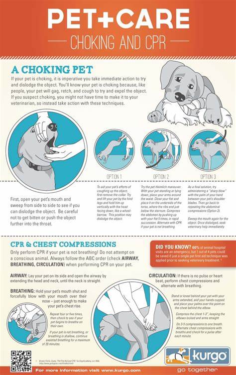 How to Save a Dog