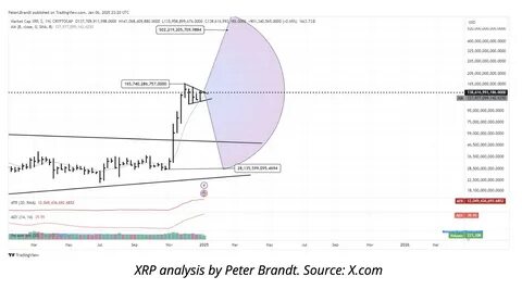 Brandt Says XRP Could Hit $502B Market Cap, Citing Weekly Half Mast Flag - The Crypto Basic