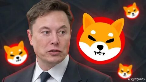 The Only Cryptocurrencies Elon Musk Owns -- and Shiba Inu Isn't 1 of Them - The Motley Fool