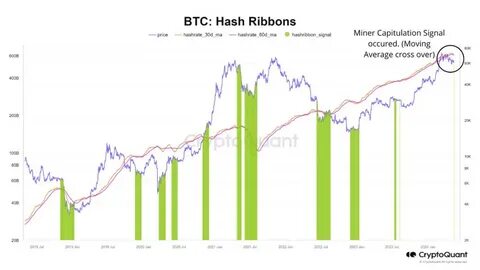 Bitcoin Hash Ribbons Form Capitulation Signal: What It Means - NewsBTC