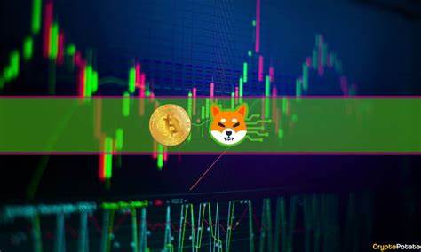 SHIB, W, SEI were top gainers of the week as Bitcoin shot past $65,000