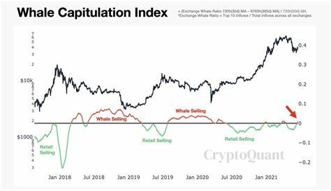 Bitcoin (BTC) New Whales Eating Market, CryptoQuant Data Says