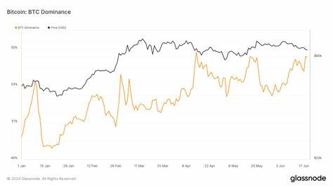 Bitcoin dominance rebounds to 55% by mid-2024 - CryptoSlate