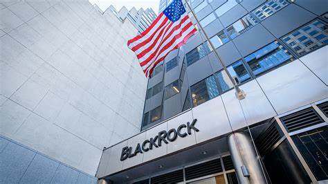 BlackRock’s CIO fires at Fed’s policy delay: ‘It’s not a goods economy’