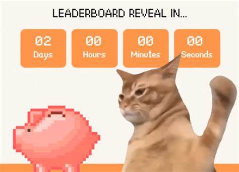 Get Ready for January 14: Catslap Meme Coin Unveils $100K Leaderboard as Dip Buyers Rally Around $SLAP - TradingView