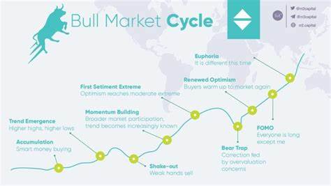 What’s been driving the bull market in crypto?