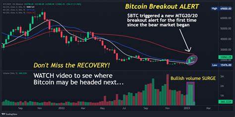 5 Indicators Pointing Toward a Massive Bitcoin Breakout Right Now