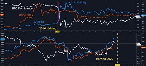 [Analysis] "Altcoins, the Last Rally of This Cycle is Coming... Focus on Active Networks" - Bloomingbit