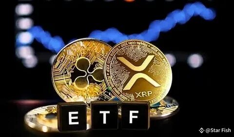 News Explorer — These XRP and Litecoin ETF Applications Just Got the SEC Nod - Decrypt