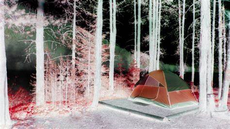 Being Forced to Use Rec.gov Just to Go Camping Is Psychological Warfare