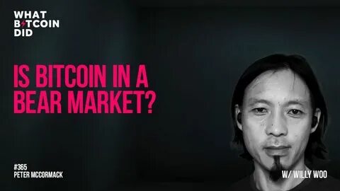Is the Big Bitcoin Bull Run Over? On-Chain Analyst Willy Woo Updates His Outlook on the Markets - The Daily Hodl