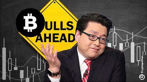 Tom Lee Predicts Bitcoin To Hit $250,000 By End Of 2025, $3M Long Term - Benzinga