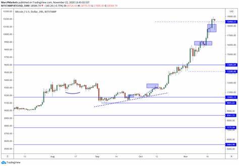 Bitcoin Sways at $65,000 Investors Funnel Capital To Brand New Altcoin Outpacing Ripple - The Cryptonomist