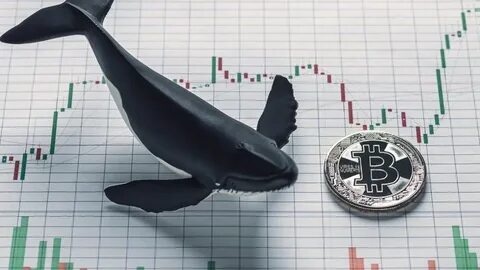 Whales Buy Into SPX6900 As Top Trader Made $23M From SPX Pump - Cryptopolitan