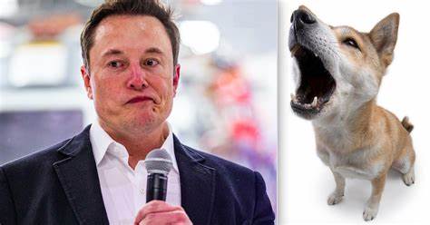 Co-Creator Of Elon Musk's Favorite Dogecoin Calls 95% of All Crypto Projects 'Scam and Garbage' - Indiatimes.com