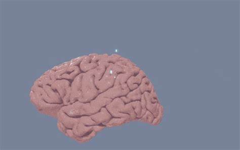 AI can now translate brain scans to text