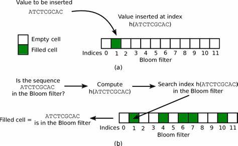 Bloom Filters by Example