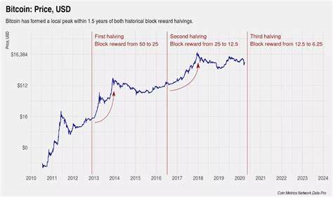 The Bitcoin Halving and What it Means for Bitcoin Use in India - SMEStreet