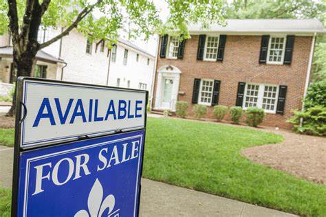 Opendoor stock jumps another 10% as retail piles in on potential 100x rally in 'next few years'