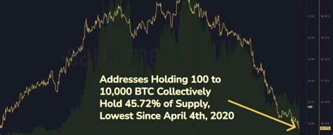 Bitcoin holdings on Coinbase reach lowest level since 2015 as whales withdraw $1B BTC - Cointelegraph