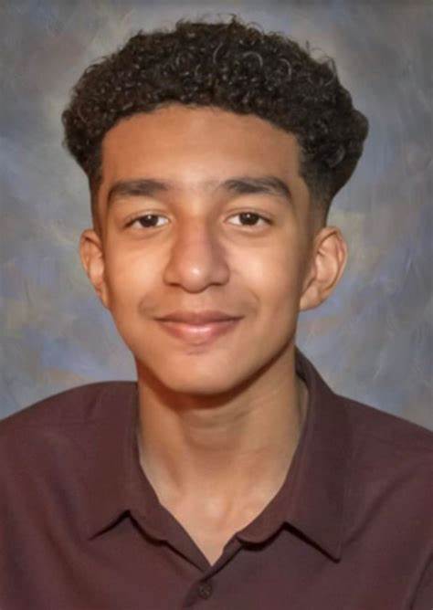 AI bots 'coached' son to suicide: grieving mom delivers testimony [video]