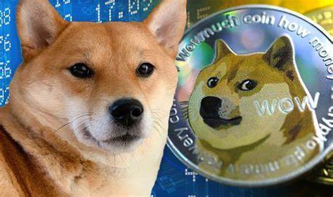 Shiba Inu coin: Analyst warns new doge-token has 'no real purpose' - won't beat Dogecoin - Express