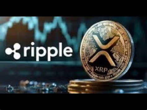 Long-Term Holders Favor XRP and Shiba Inu: 10 Year Chart Shows - The Crypto Basic