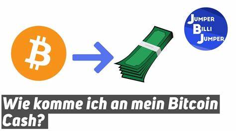 Wie kann mein Unternehmen damit beginnen, Bitcoin Cash von Kunden zu akzeptieren?