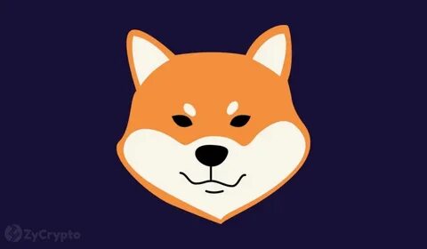Shiba Inu Records Massive Outflows As Whales Move Billions — What’s Next For SHIB Price? - ZyCrypto