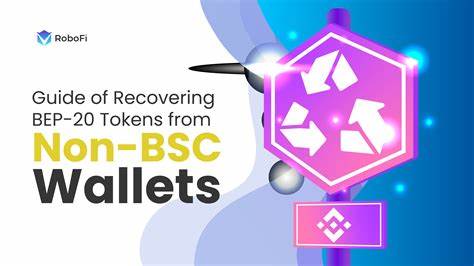 How to Recover My BEP-20 Tokens from Non BSC-Compatible Wallets - Binance