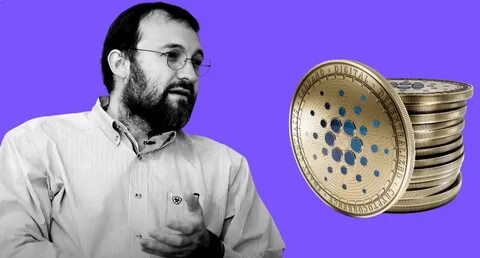 Cardano Founder Confirms Midnight Airdrop Will Reach 37 Million, Including XRP Holders