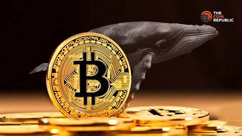 Significant Decline in Bitcoin Whale Transactions Observed Since March Price Peak - Coinrevolution.com