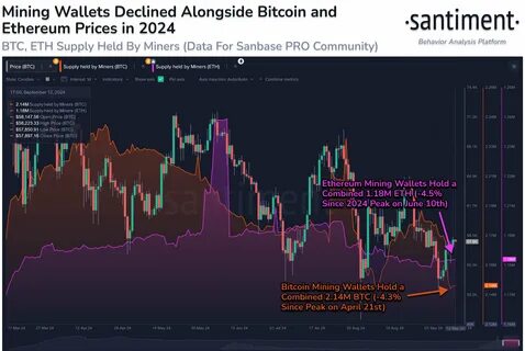Bitcoin Whale Activity Peaks: Is Selling Pressure On The Horizon? - The Market Periodical