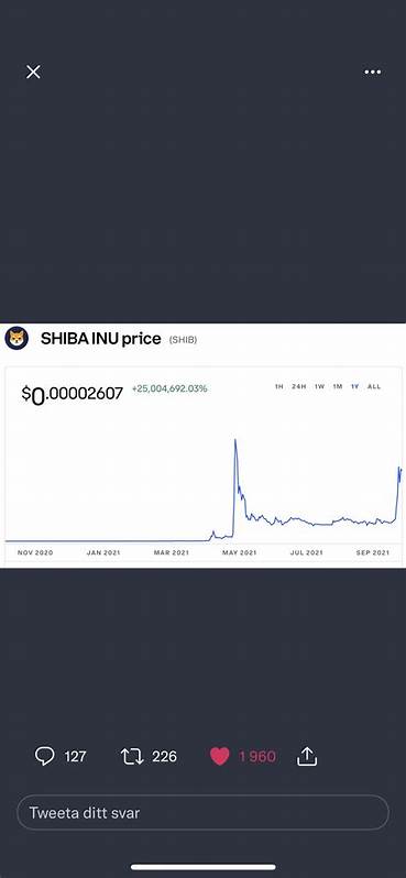 If You Invested $1000 In Bitcoin, Dogecoin, And Shiba Inu Exactly A Year Ago, This Crypto Would Give You The Best Returns Today